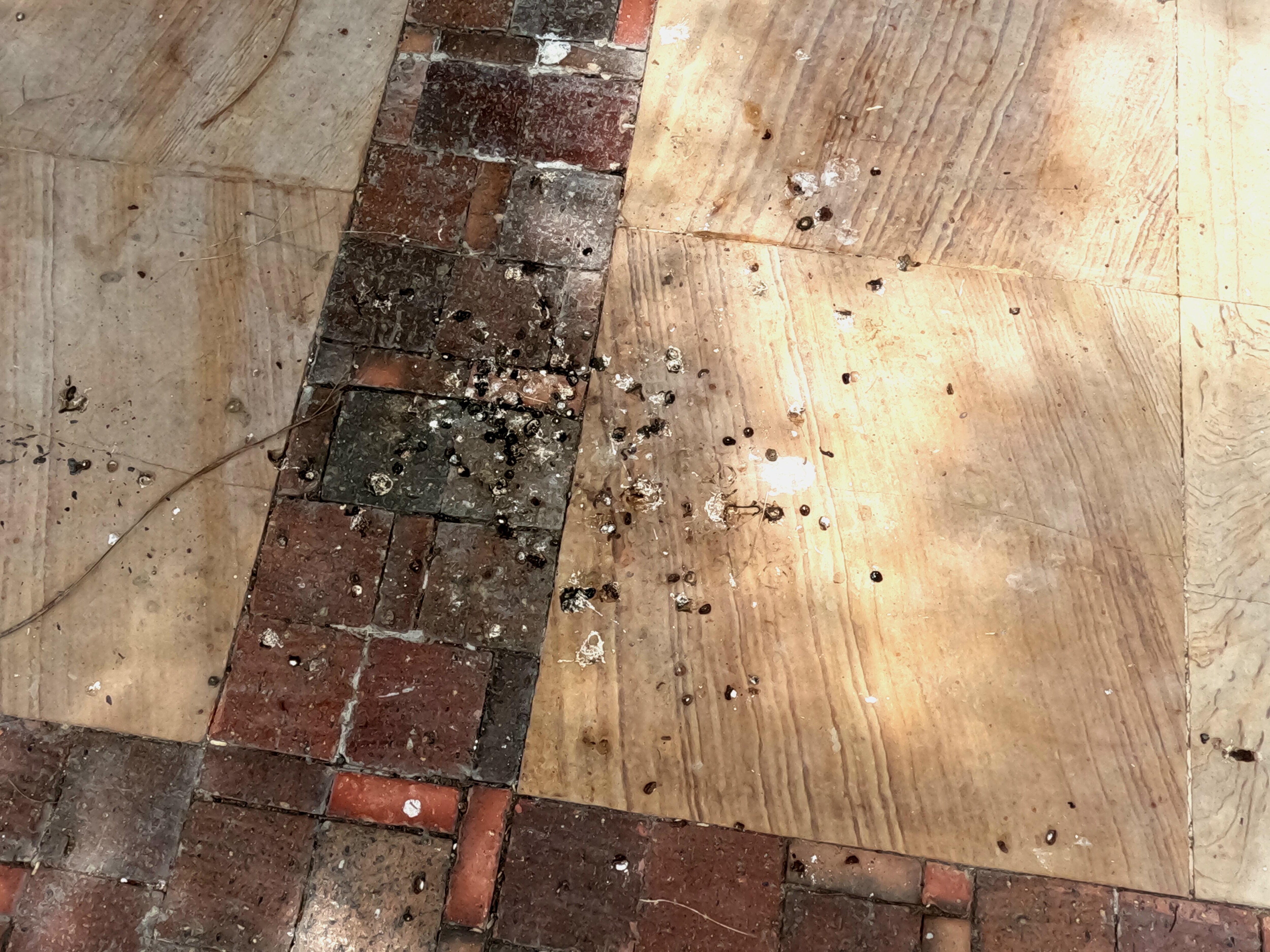 Pool area. There's a lot of bird droppings that were never cleaned up over a 3 day stay.