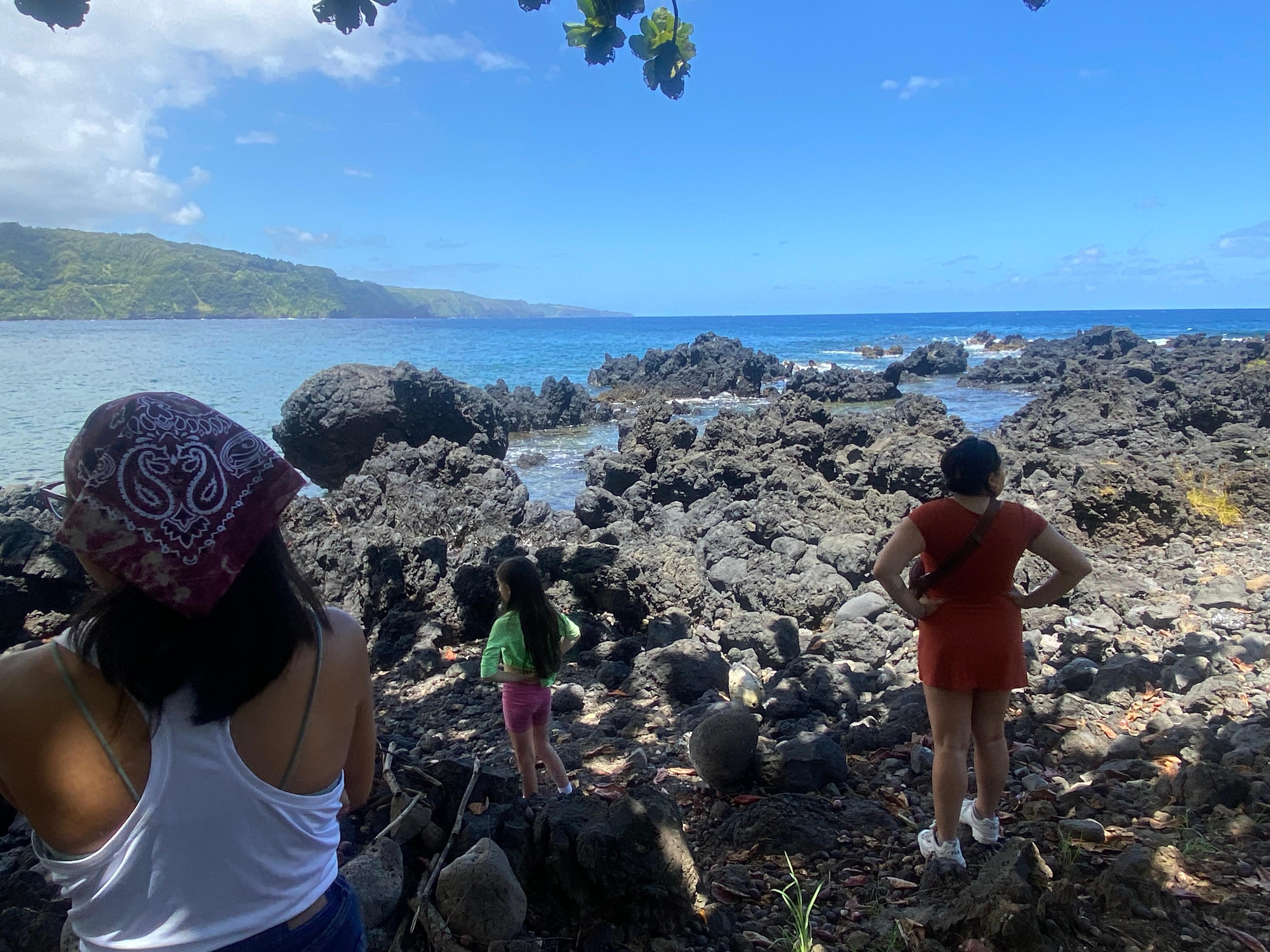 A stop in the road to Hana