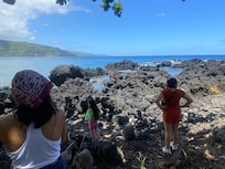 A stop in the road to Hana