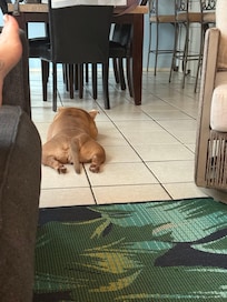 Zalei relaxing after a day at the beach.