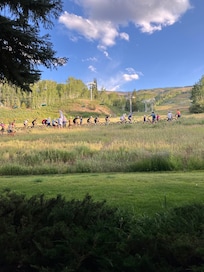 Mountain bike race in our backyard!