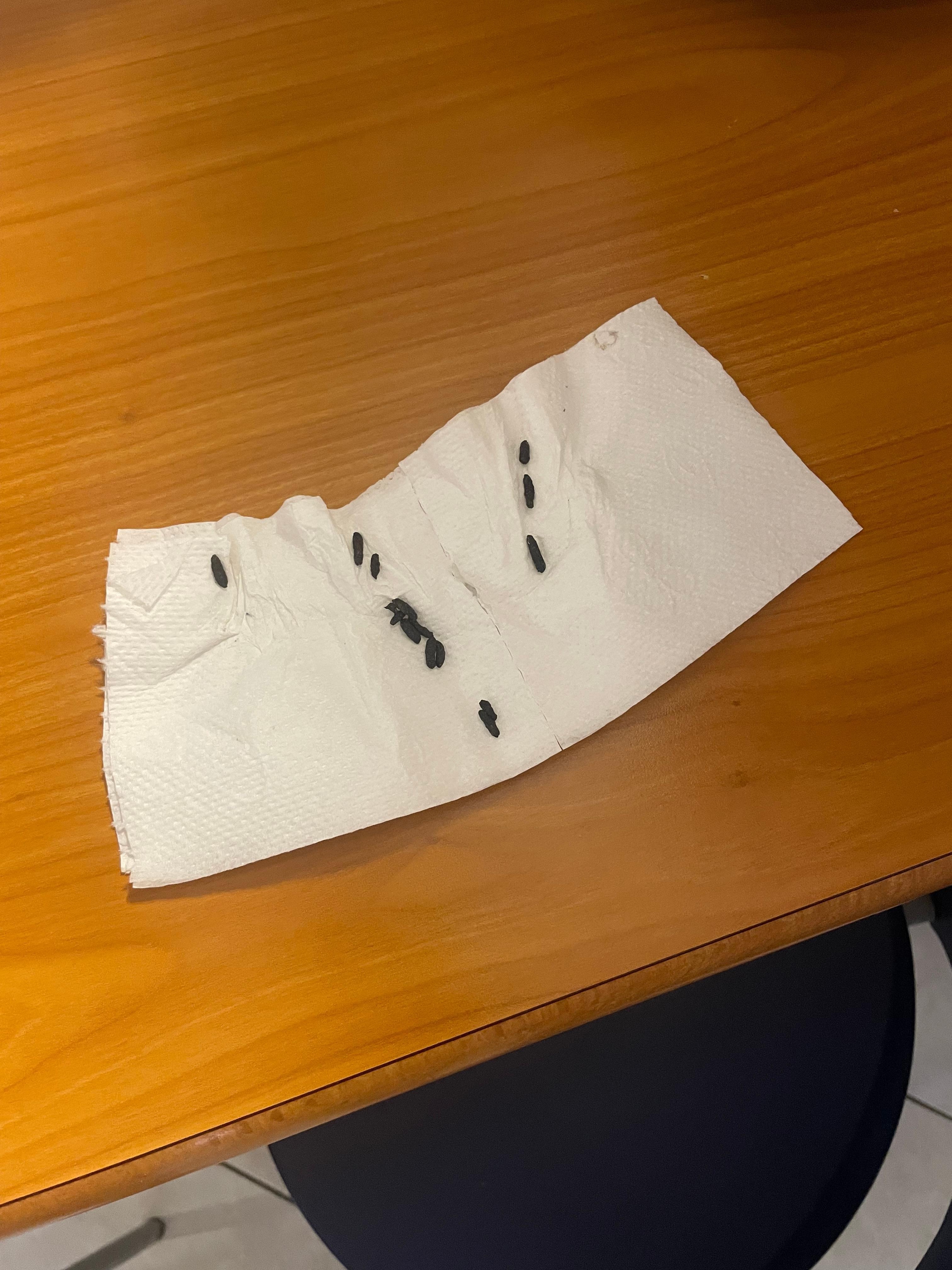 Lidt efterladenskaber fra en lille gæst vi havde om natten