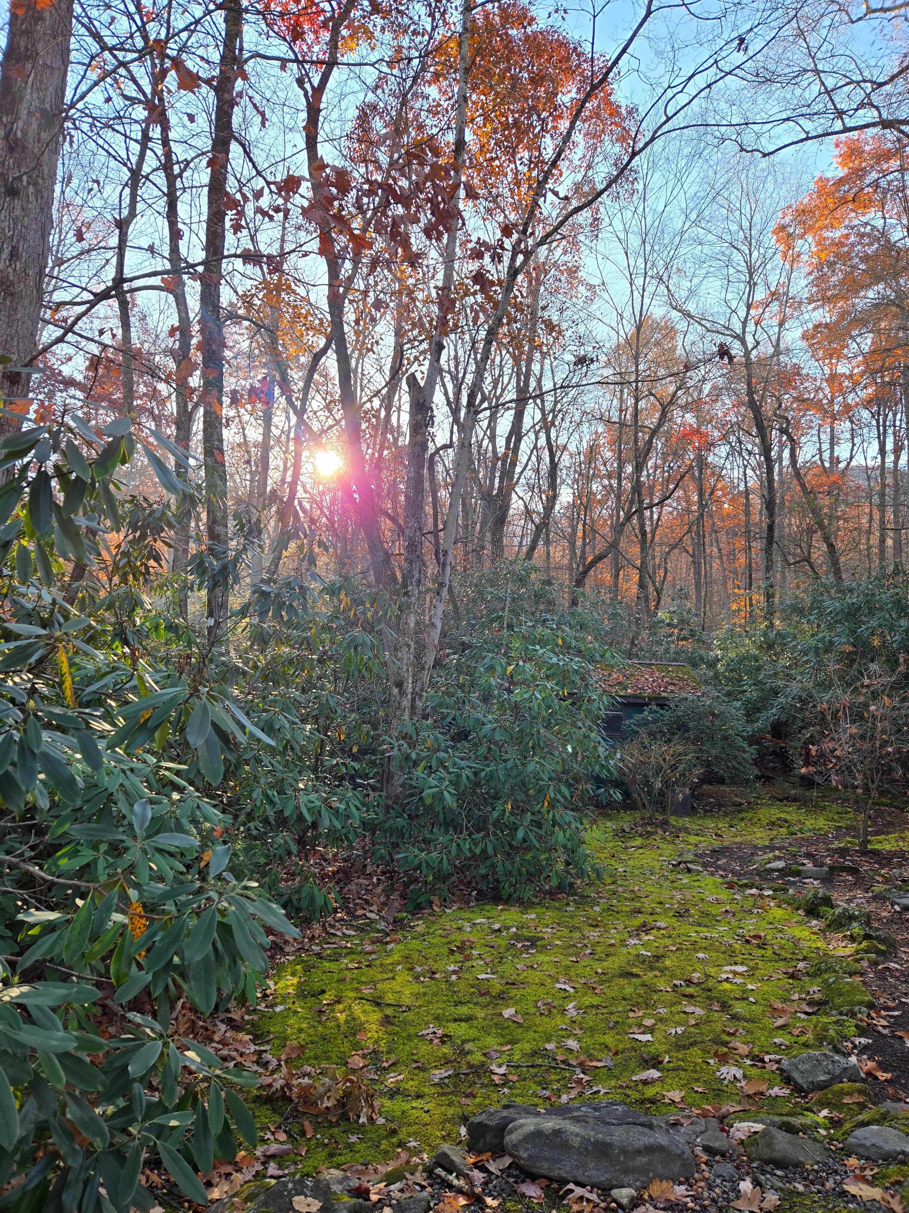 Cabin property that leads to a trail. 