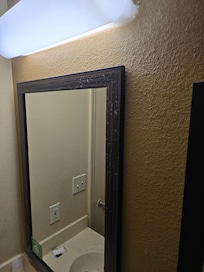 Bathroom Mirror with somthing all over the molding