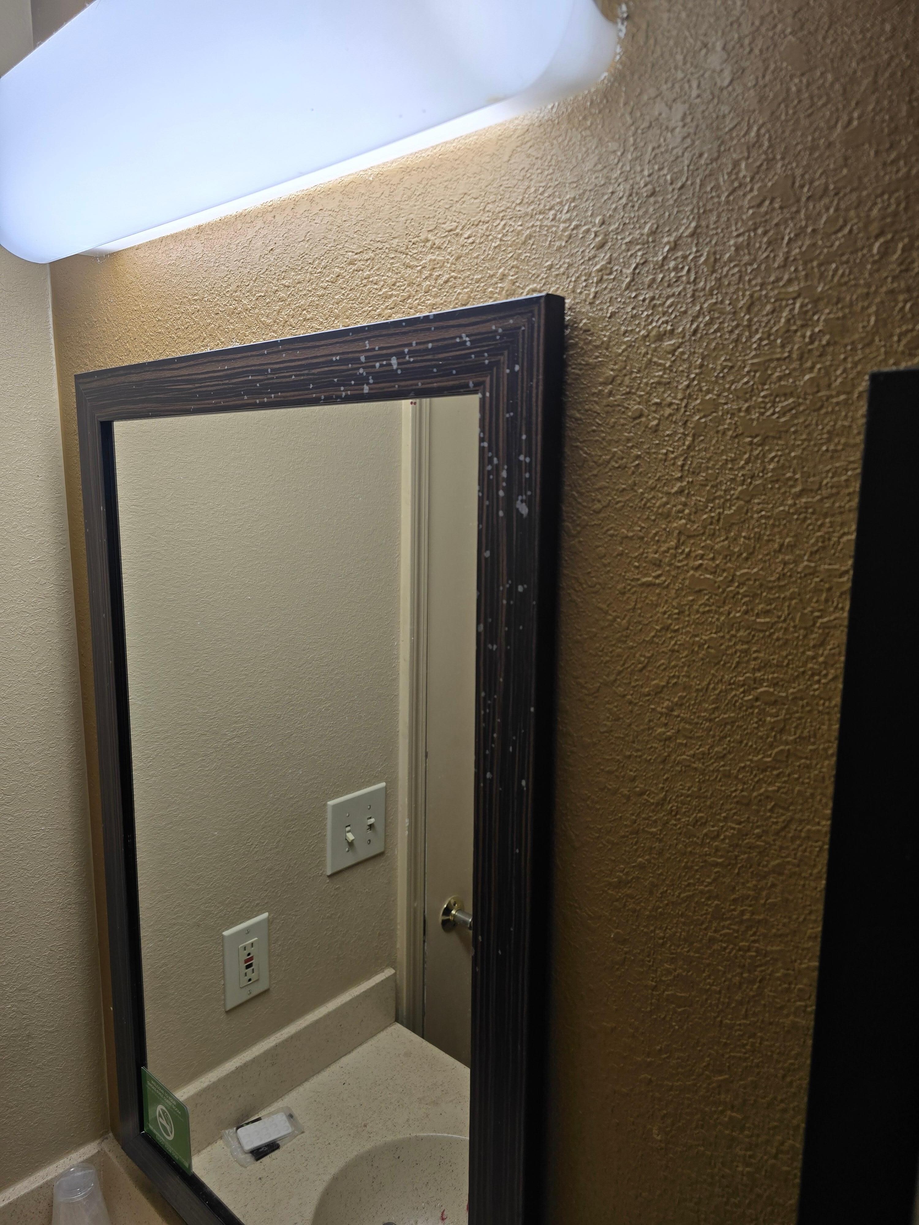 Bathroom Mirror with somthing all over the molding