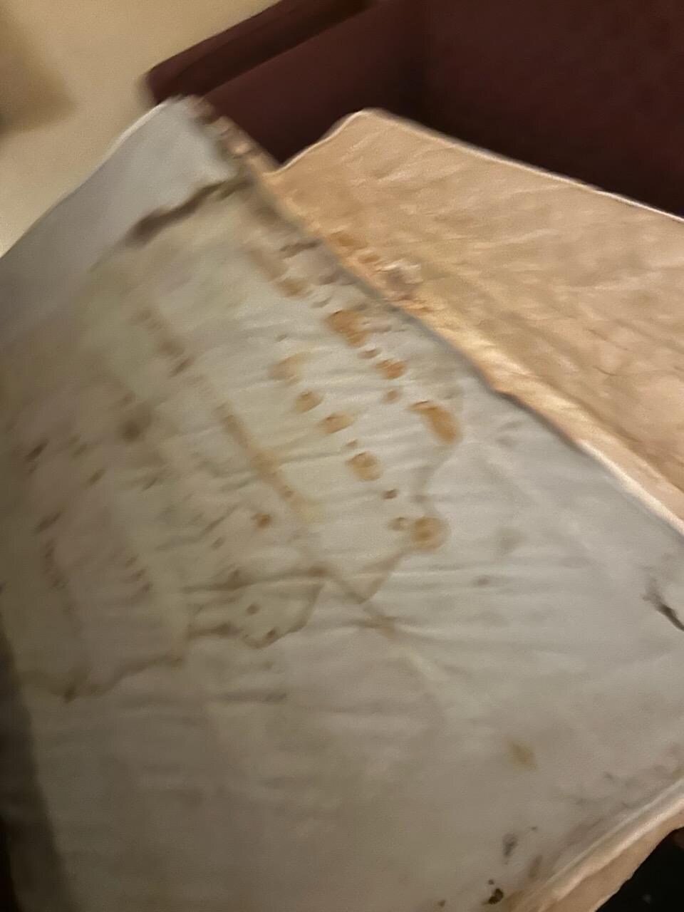 Pull out bed that they expect people to actually use?
