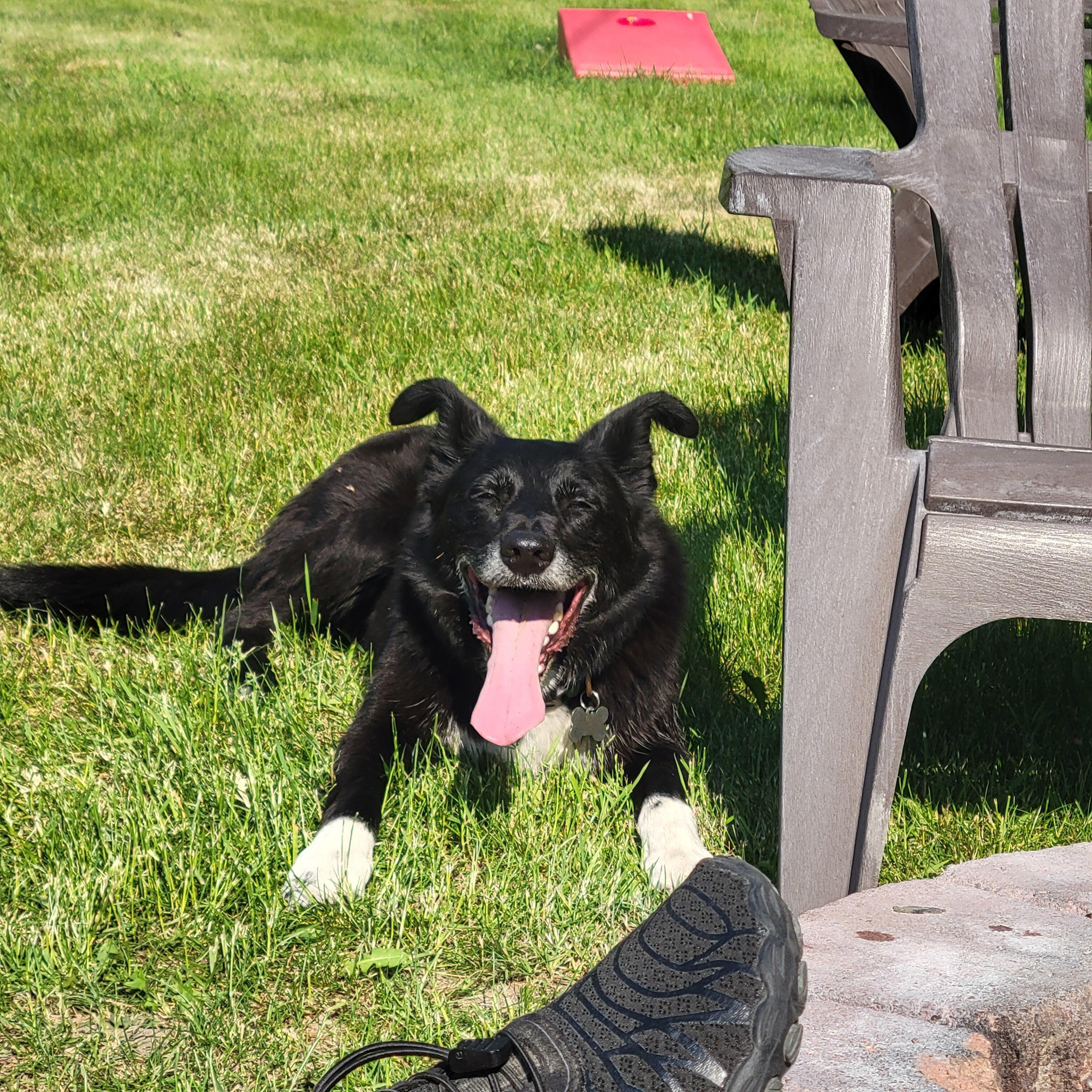 Fergus!