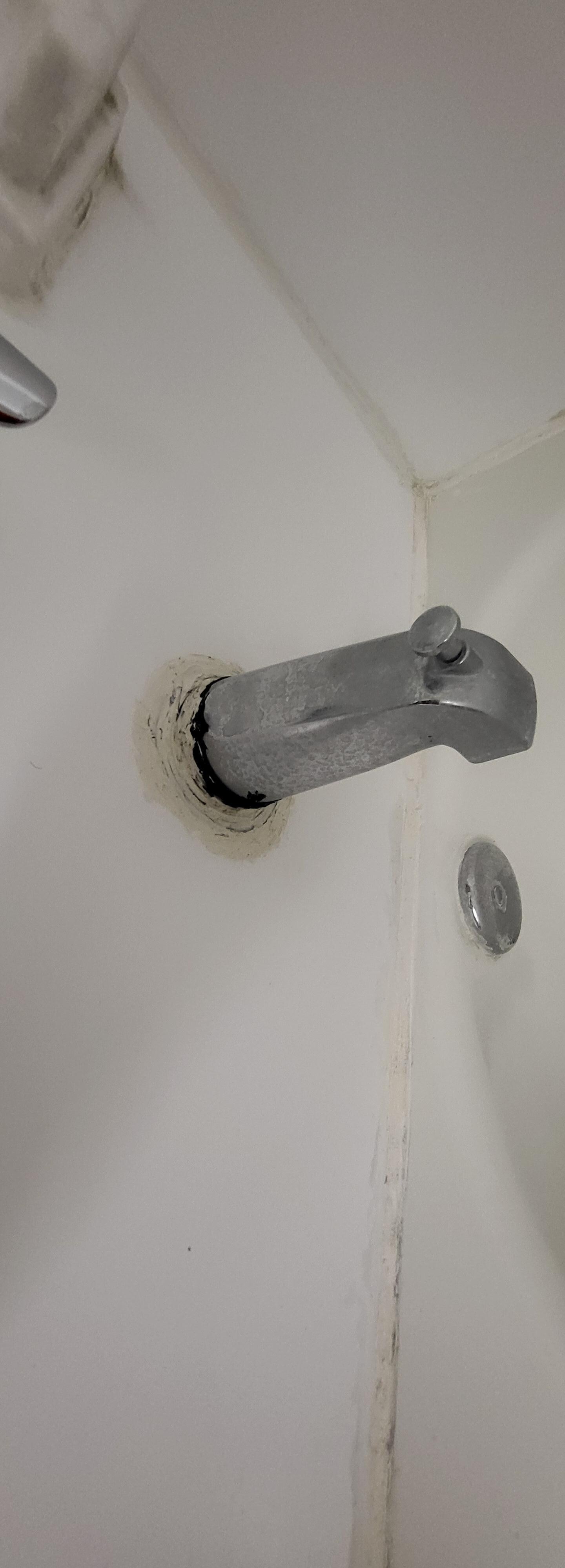 Mold in the bathtub 