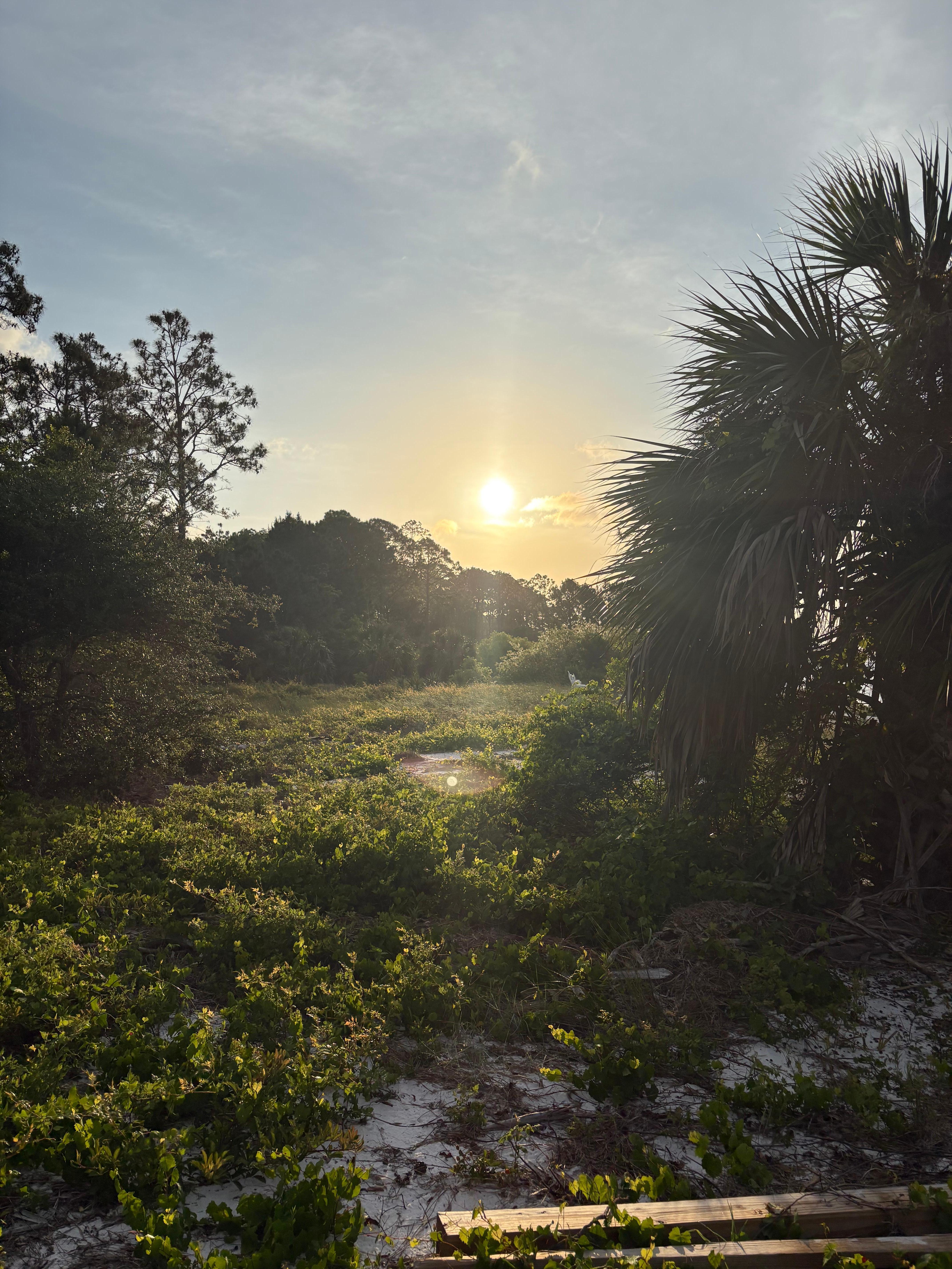 View from the path to the water!