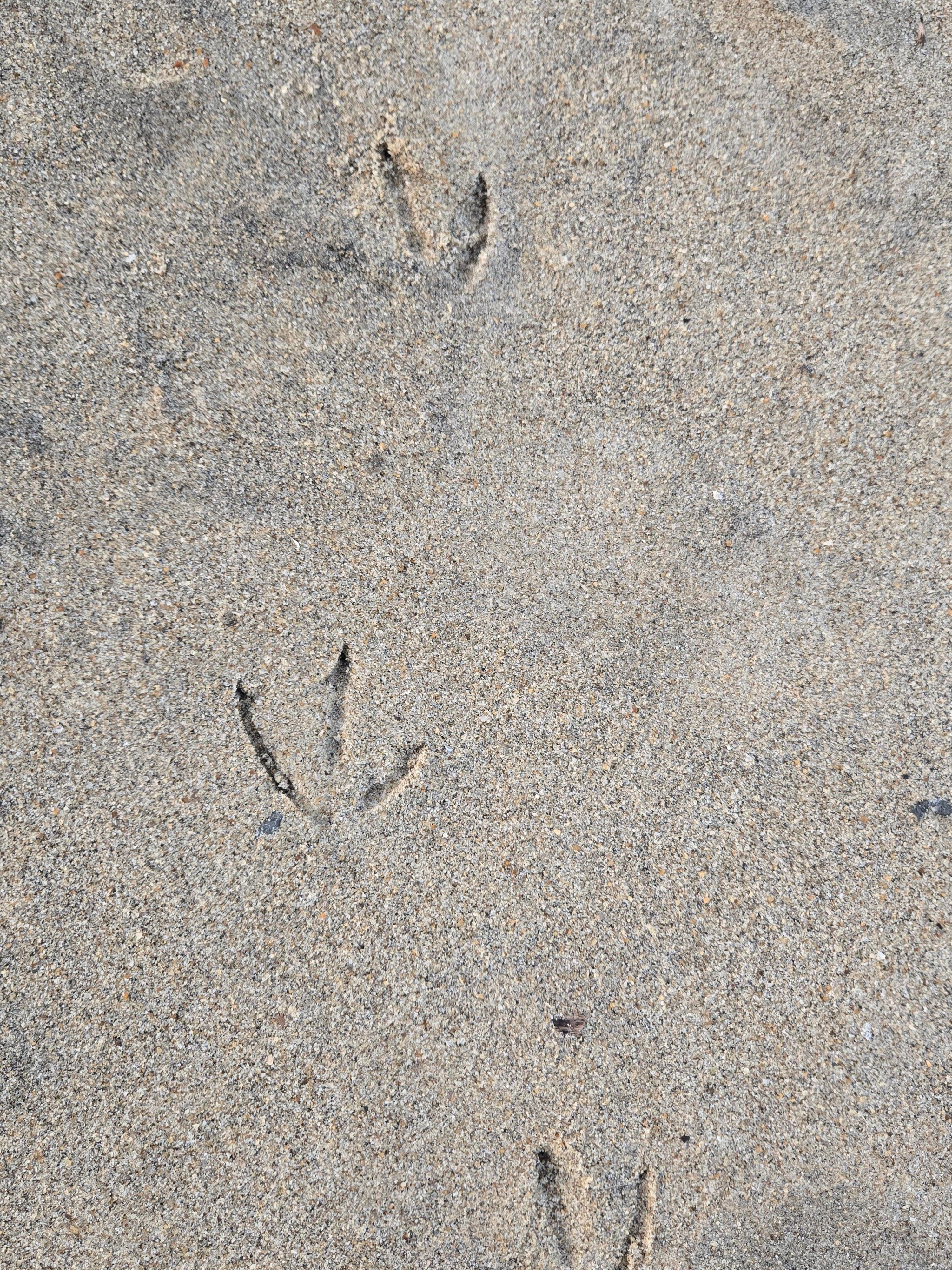 It's clean and calm here in the winter. 