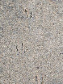 It's clean and calm here in the winter.