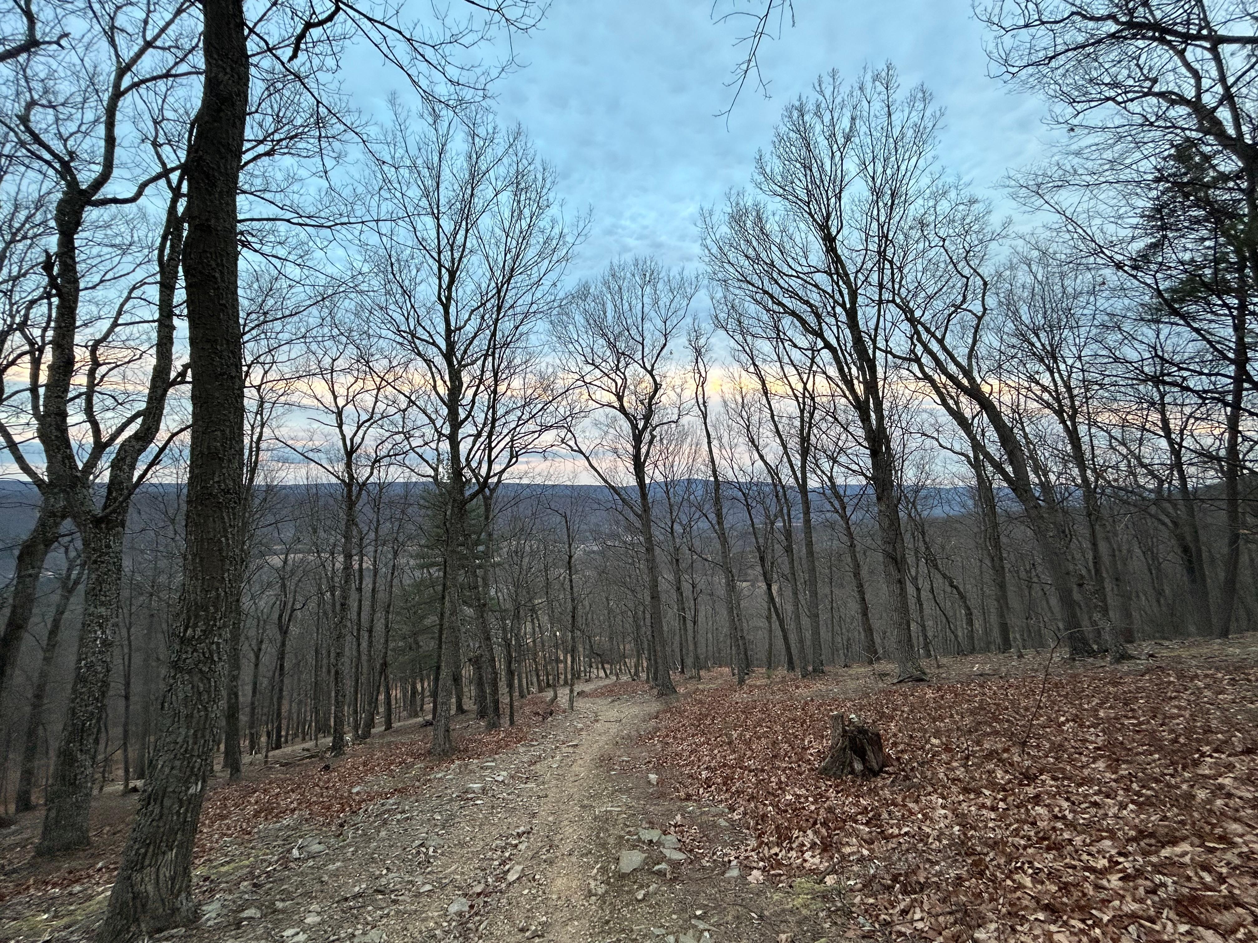 View from the lovely trail behind the house!
