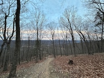 View from the lovely trail behind the house!