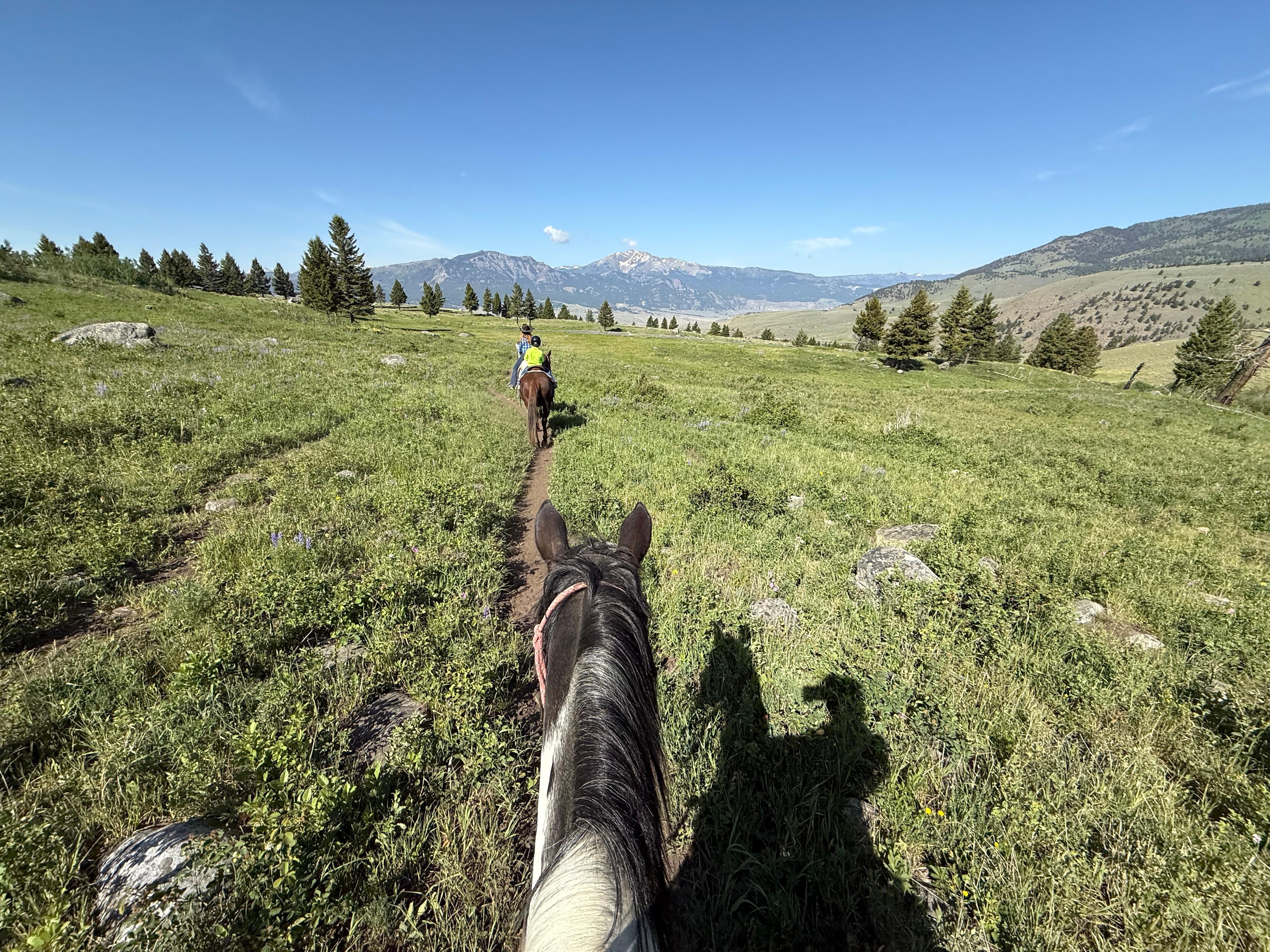 Hells A Roarin Outfitters