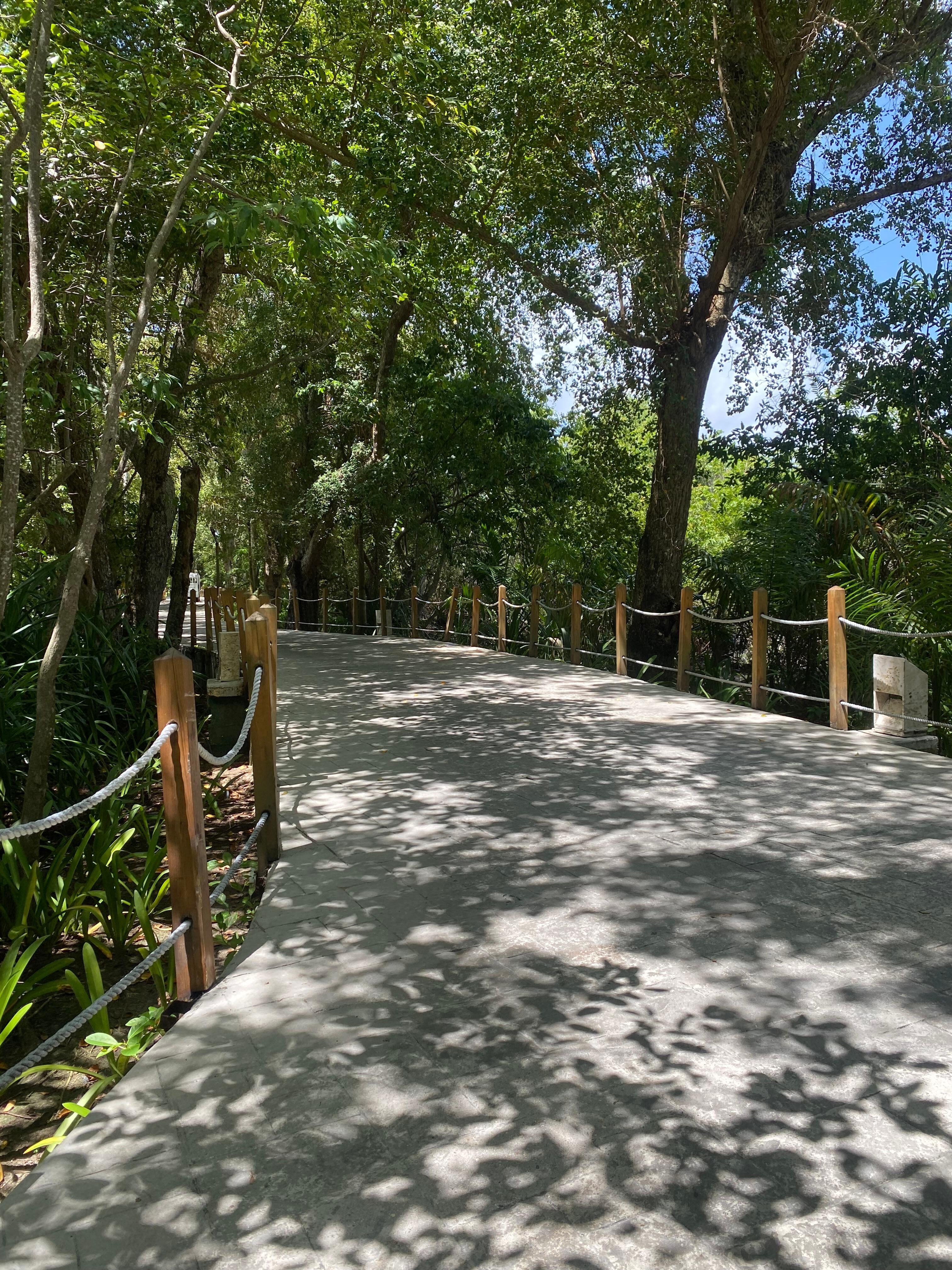 Walk-in path, very serene 