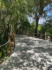 Walk-in path, very serene