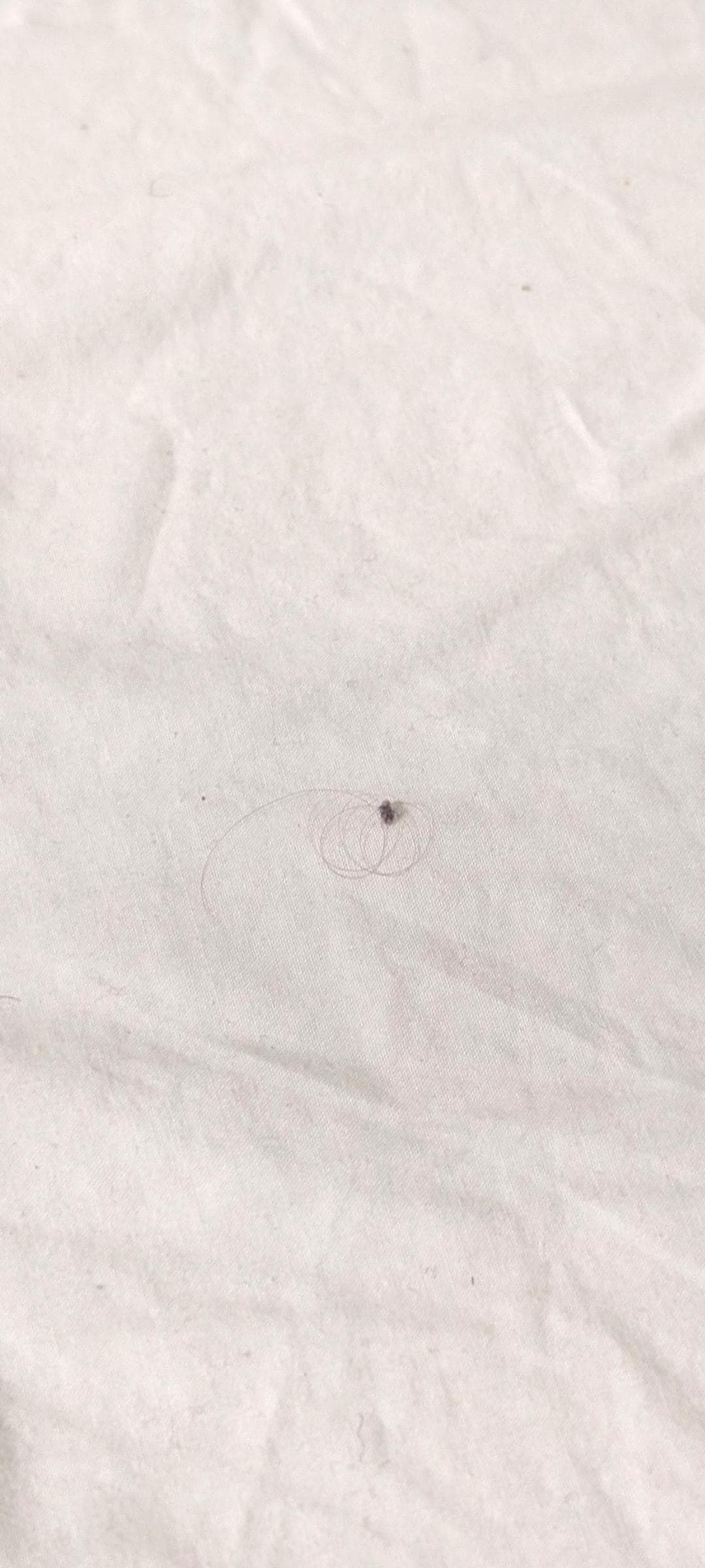 Throughout the bed there were these hair and fluff strands.