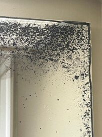 Mold and mildew on mirrors