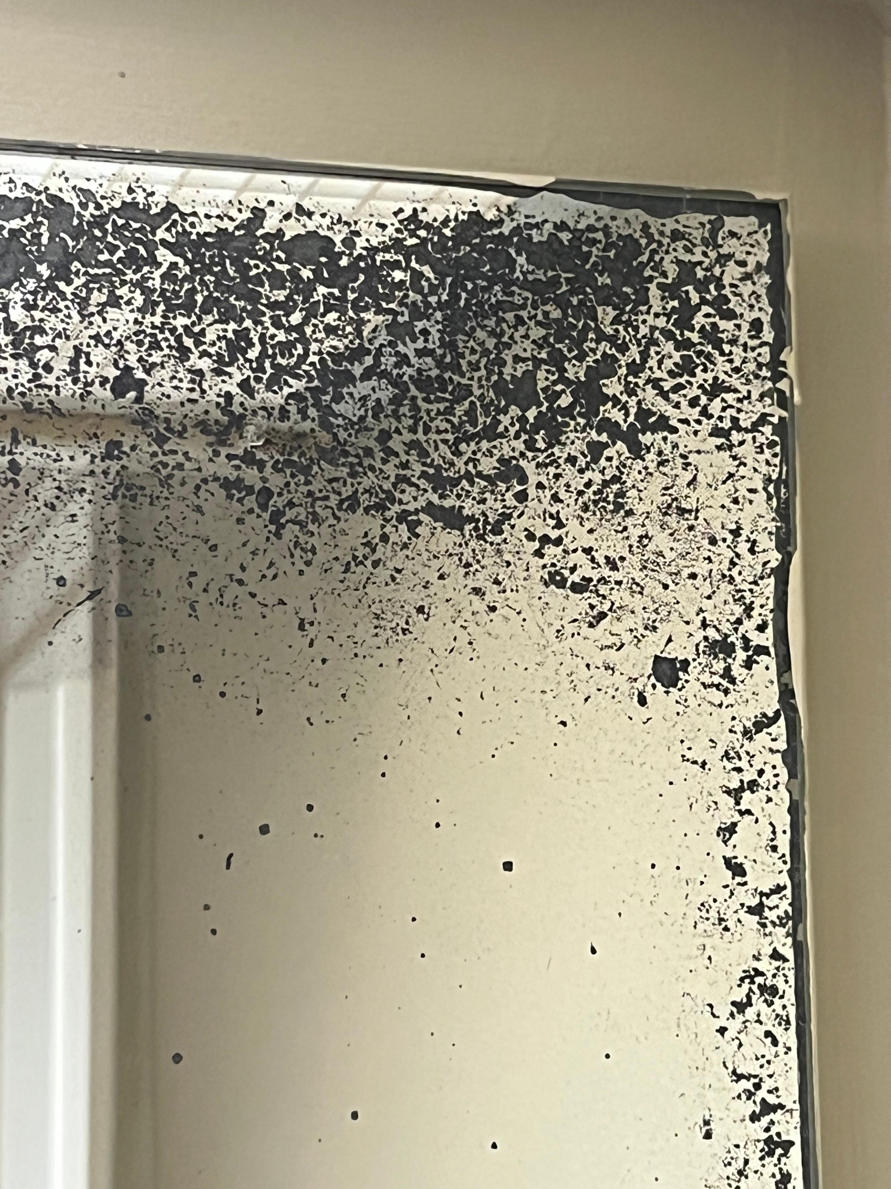 Mold and mildew on mirrors 