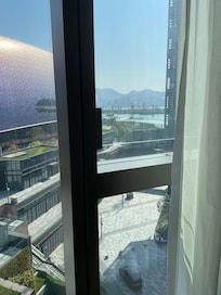 This is not what I expected as a "Premier" harbor view.