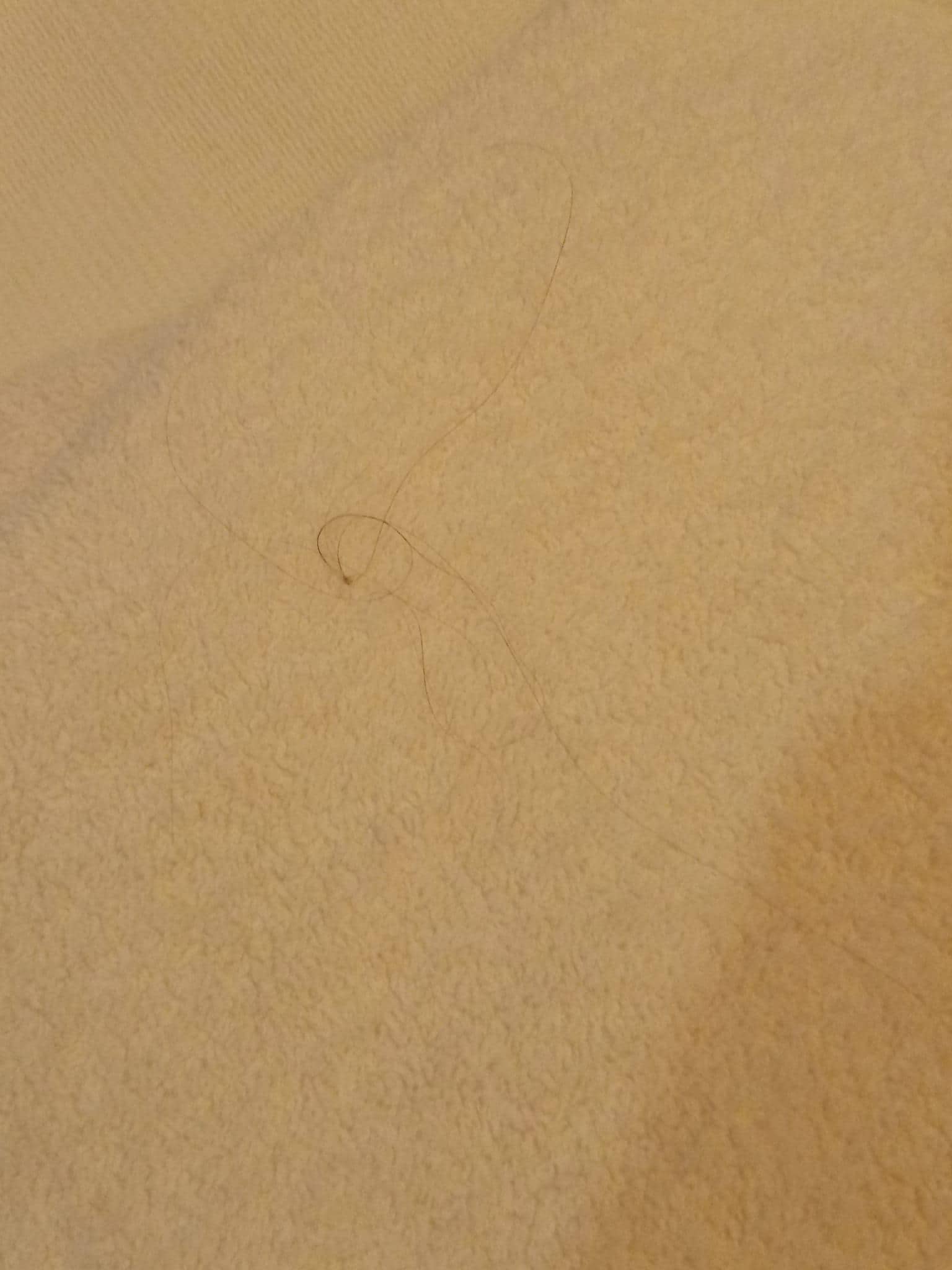 Kısacık saçım var ama bize verdikleri havluda upuzun saç telleriyle karşılaştım