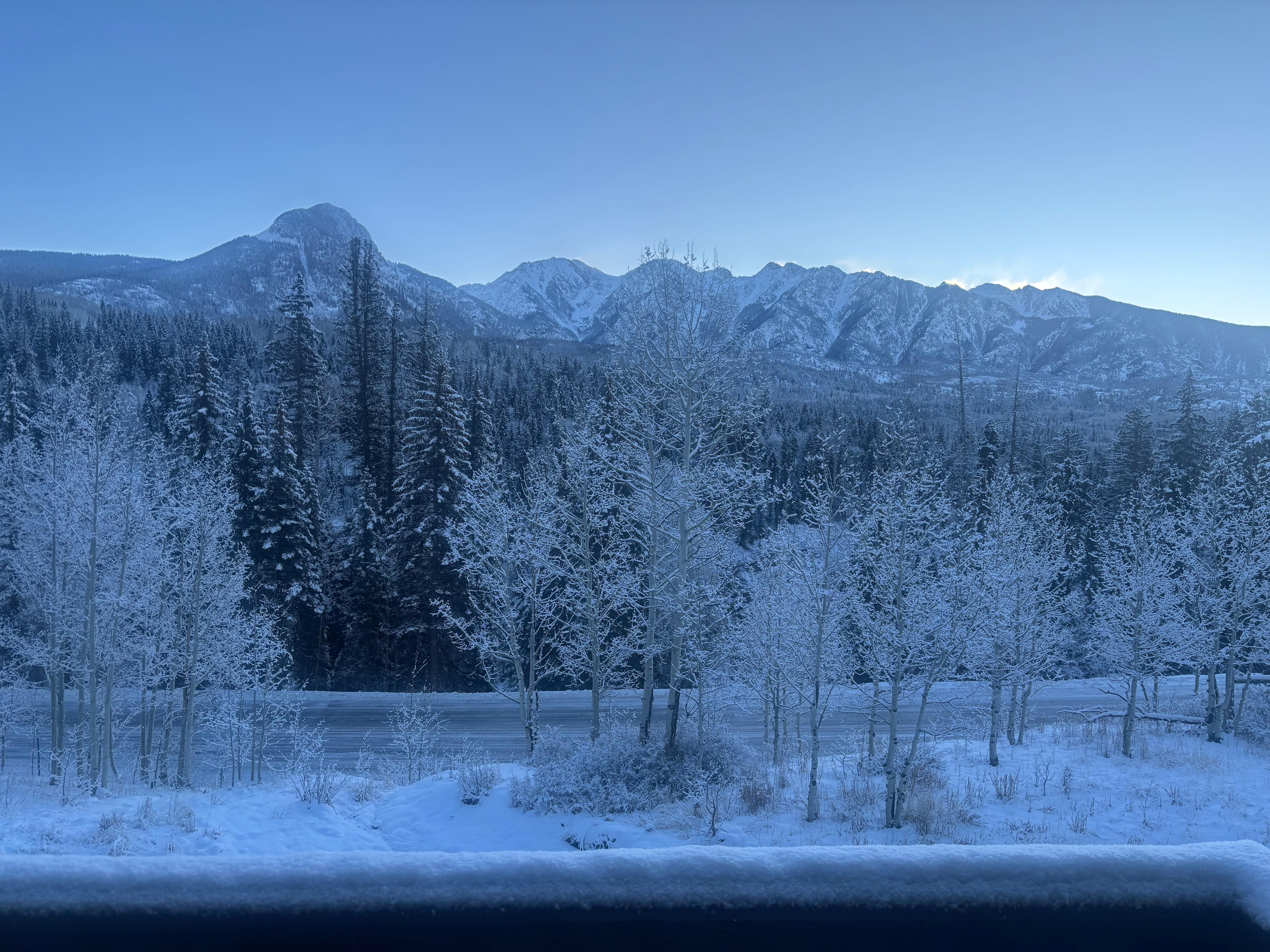 View from patio window