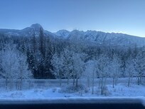 View from patio window