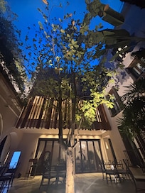 Open air and a tree in the lobby!