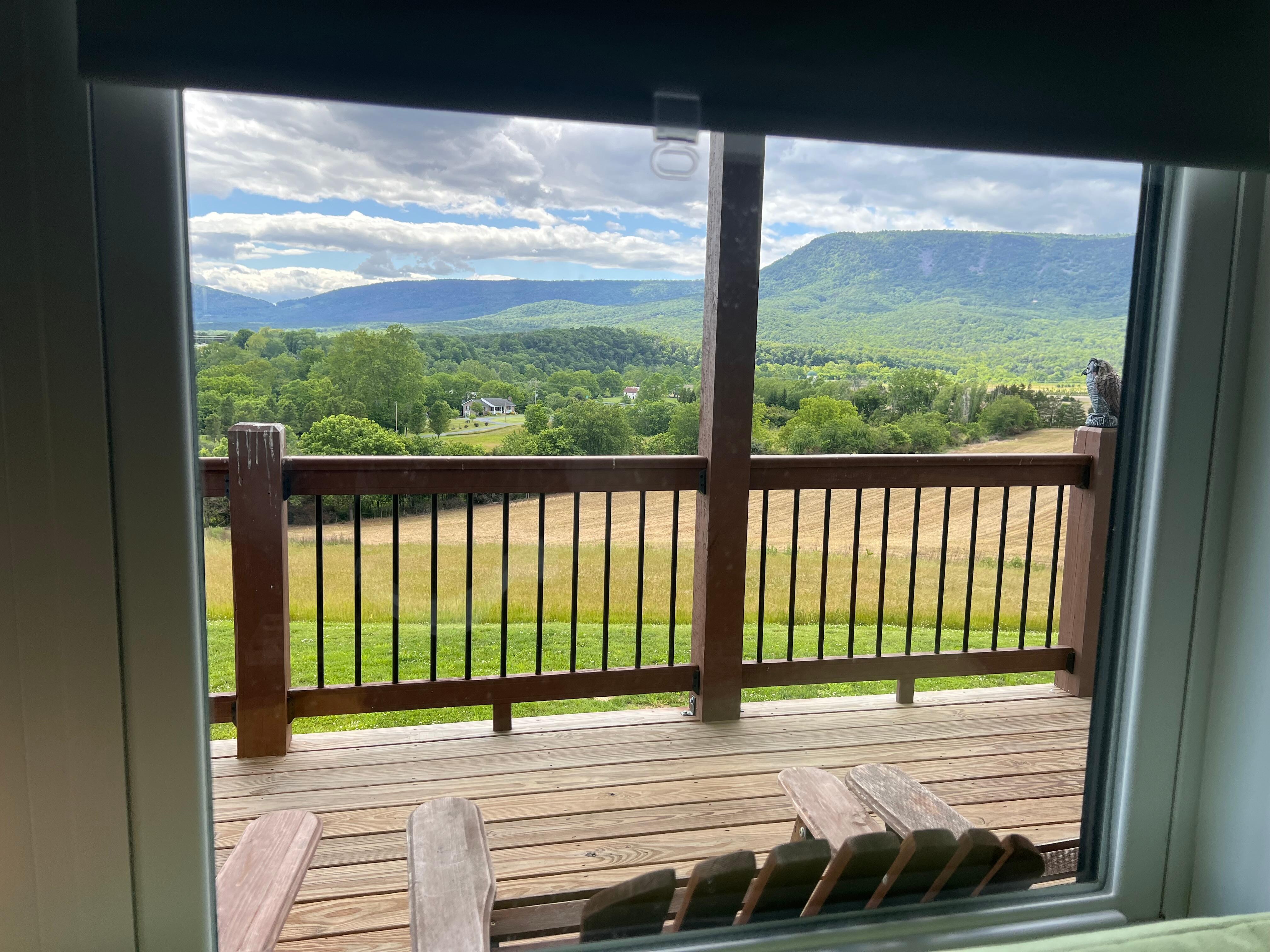  View from the living room