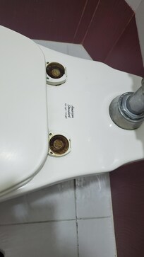 Several items around the room, like the plastic covers for the toilet seat bolts, are missing.