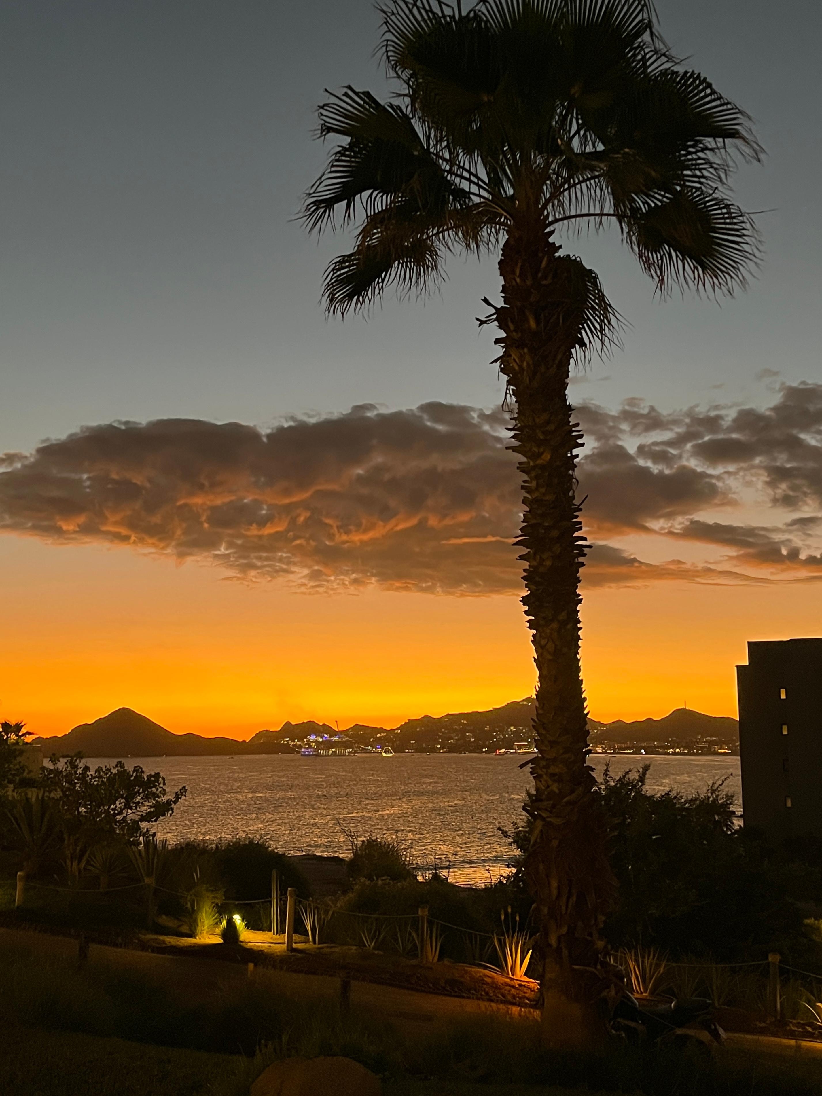 From building 7 pool