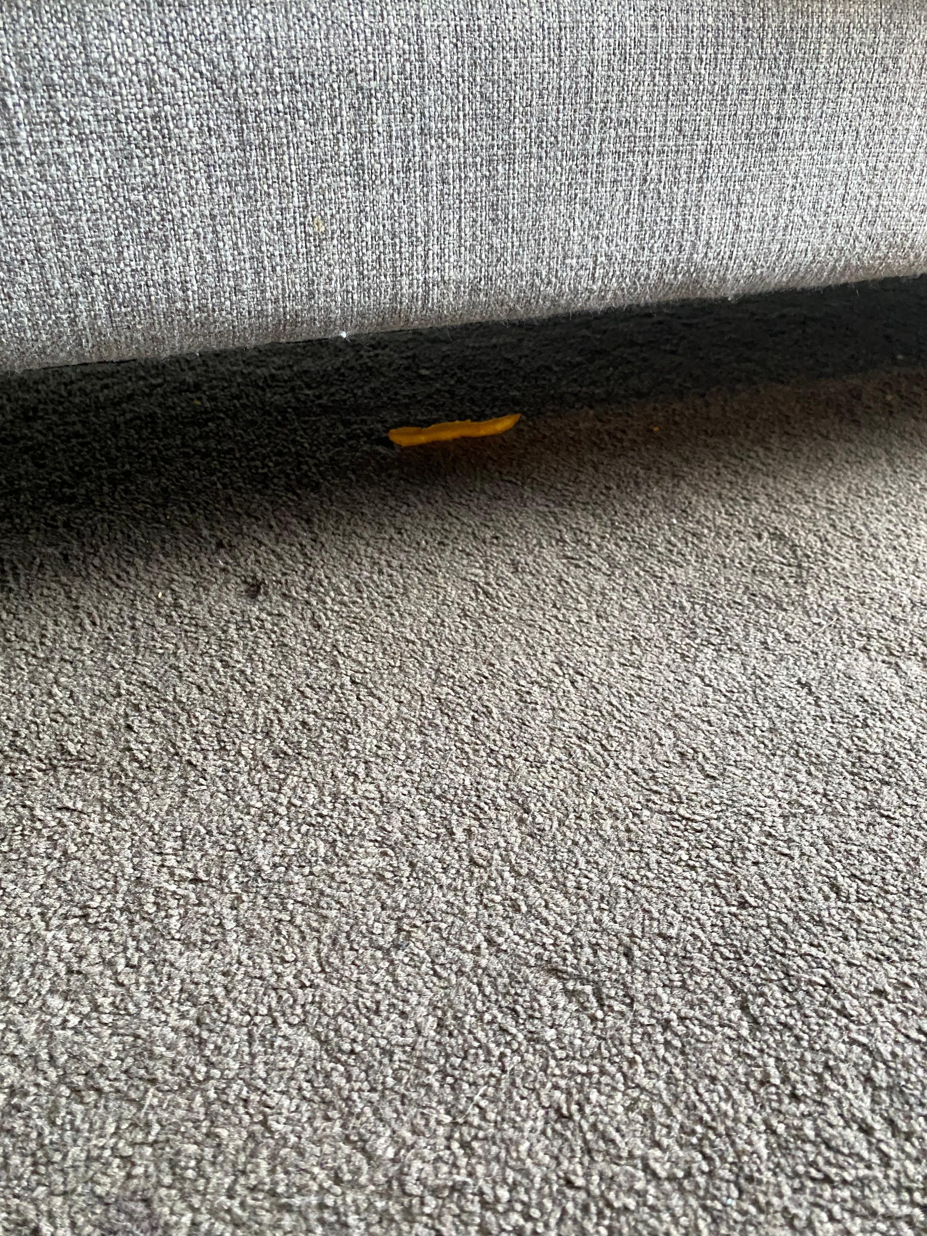 Food scraps under the coach