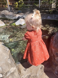 The aquarium is a must if you have kids into nature!