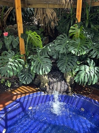 Hot tub by pool