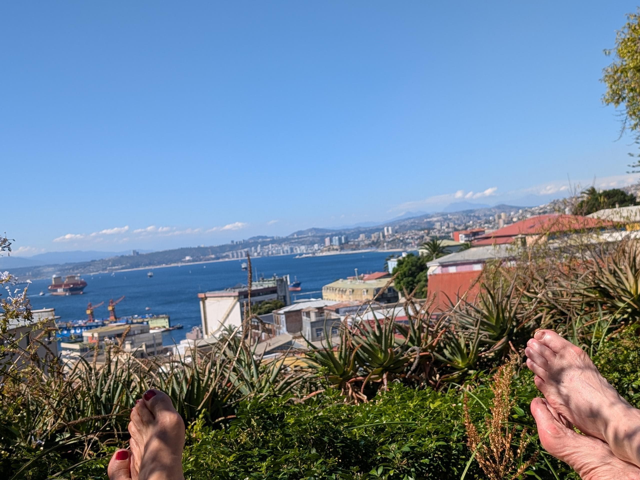 Wine on the lounge chairs
