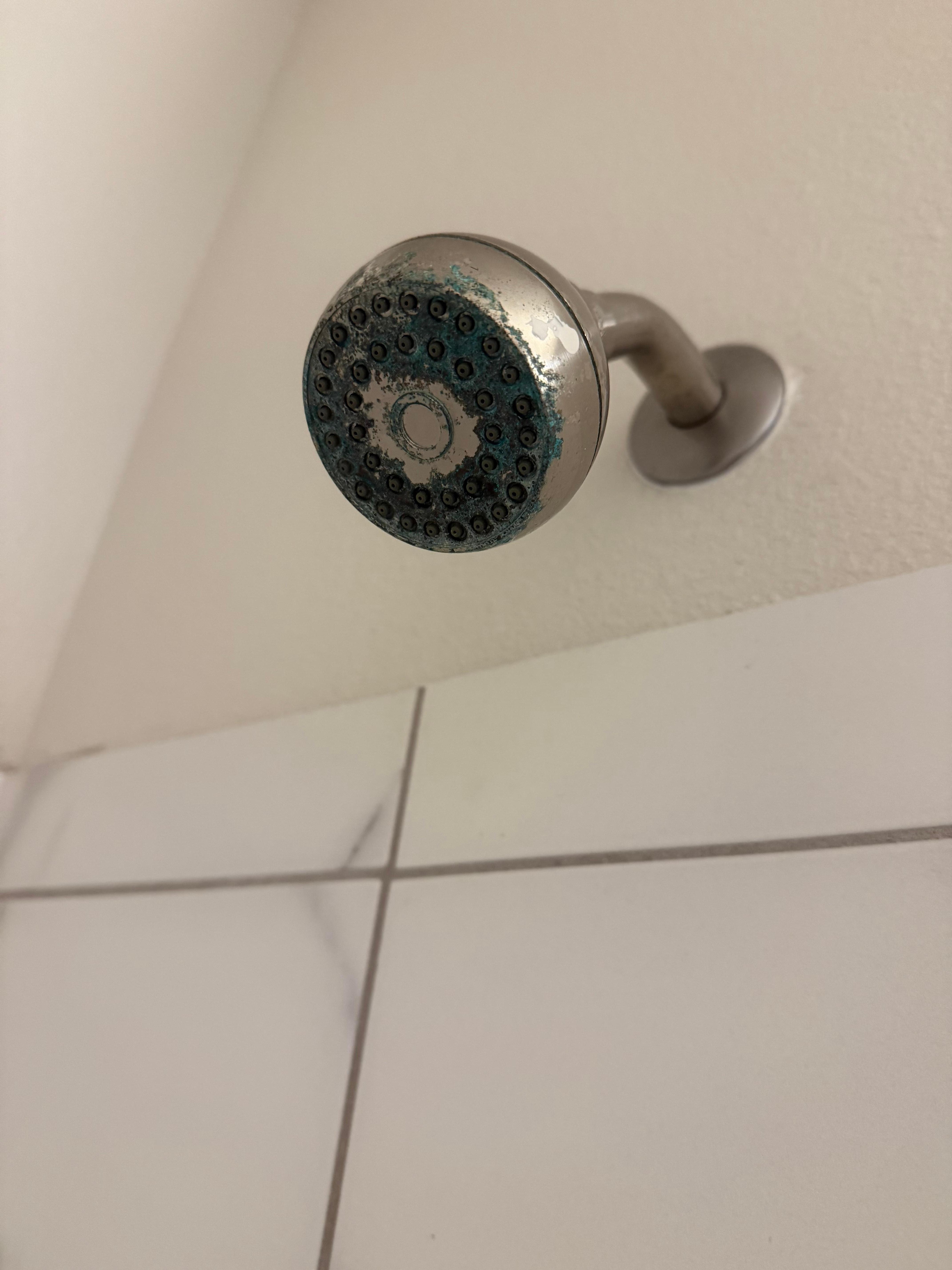 Mold in the shower