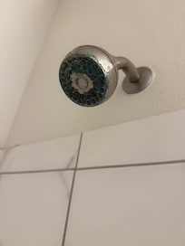 Mold in the shower