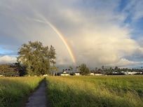View looking back after a walk to the beach