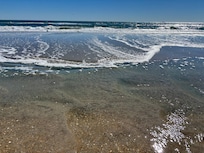 Ocean with amazing shells!