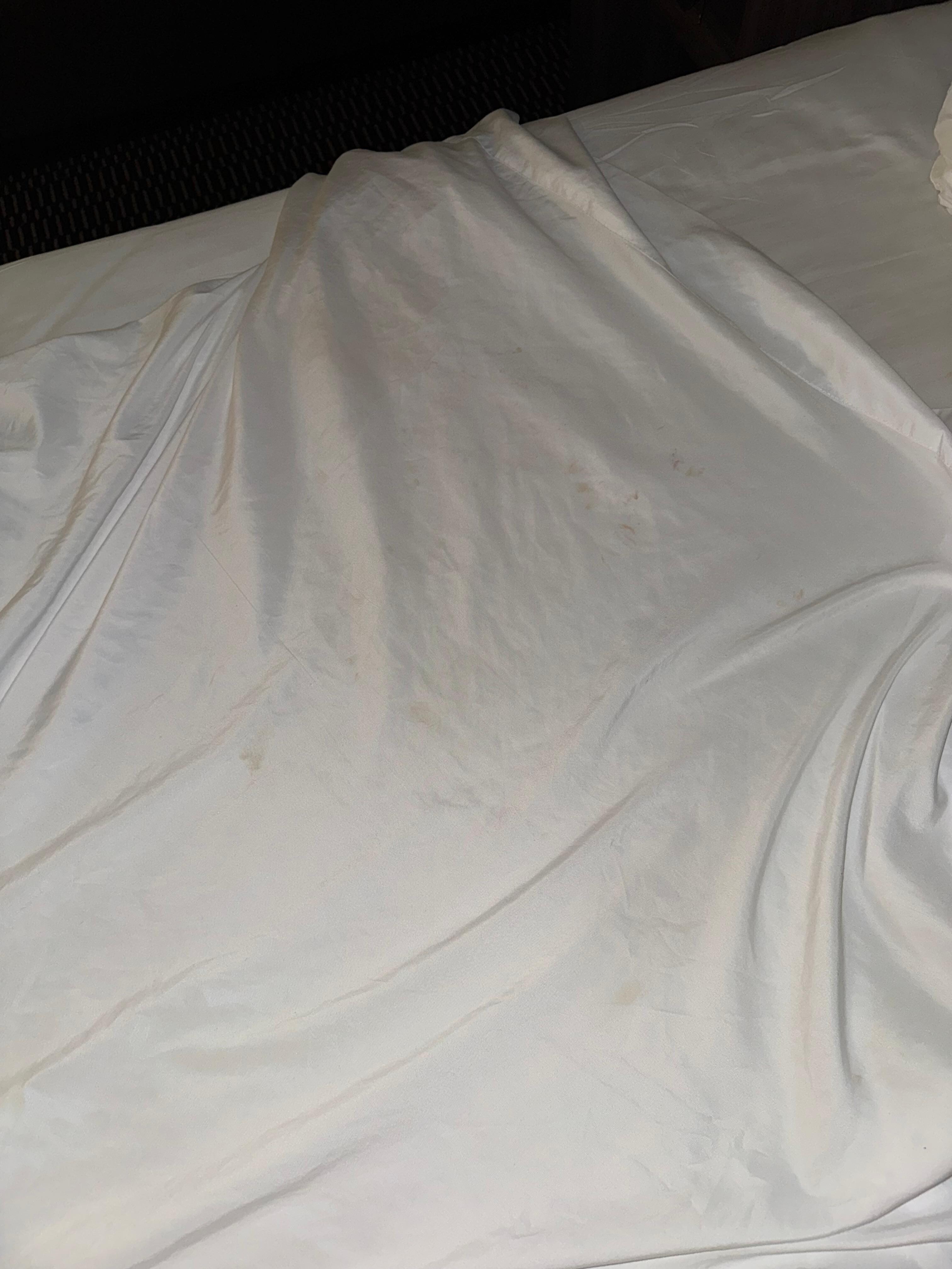Many stains on top sheet