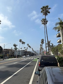 Lovely area, walking distance to restaurants, groceries, good coffee.