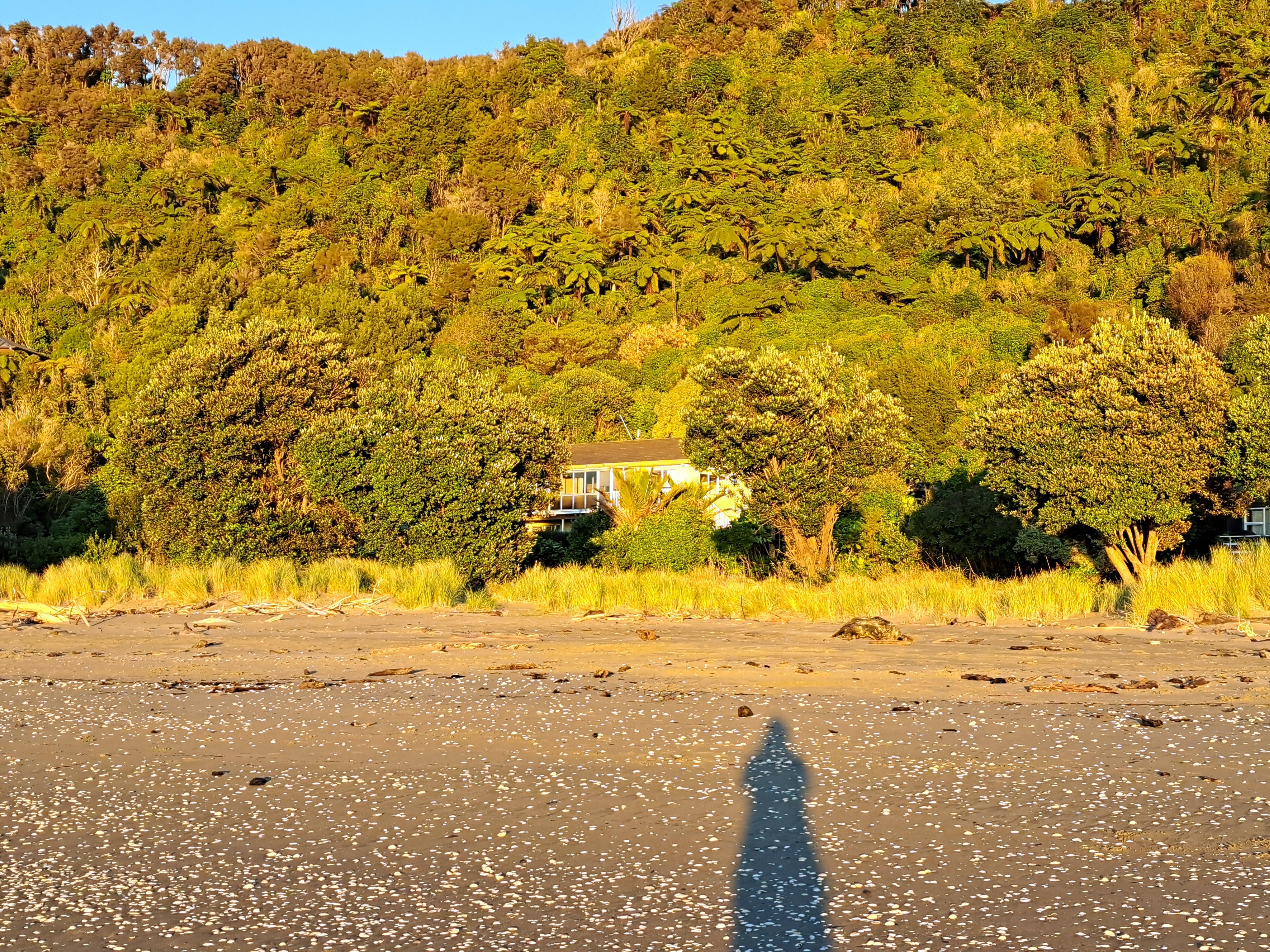 Looking at Maplesden from the beach 