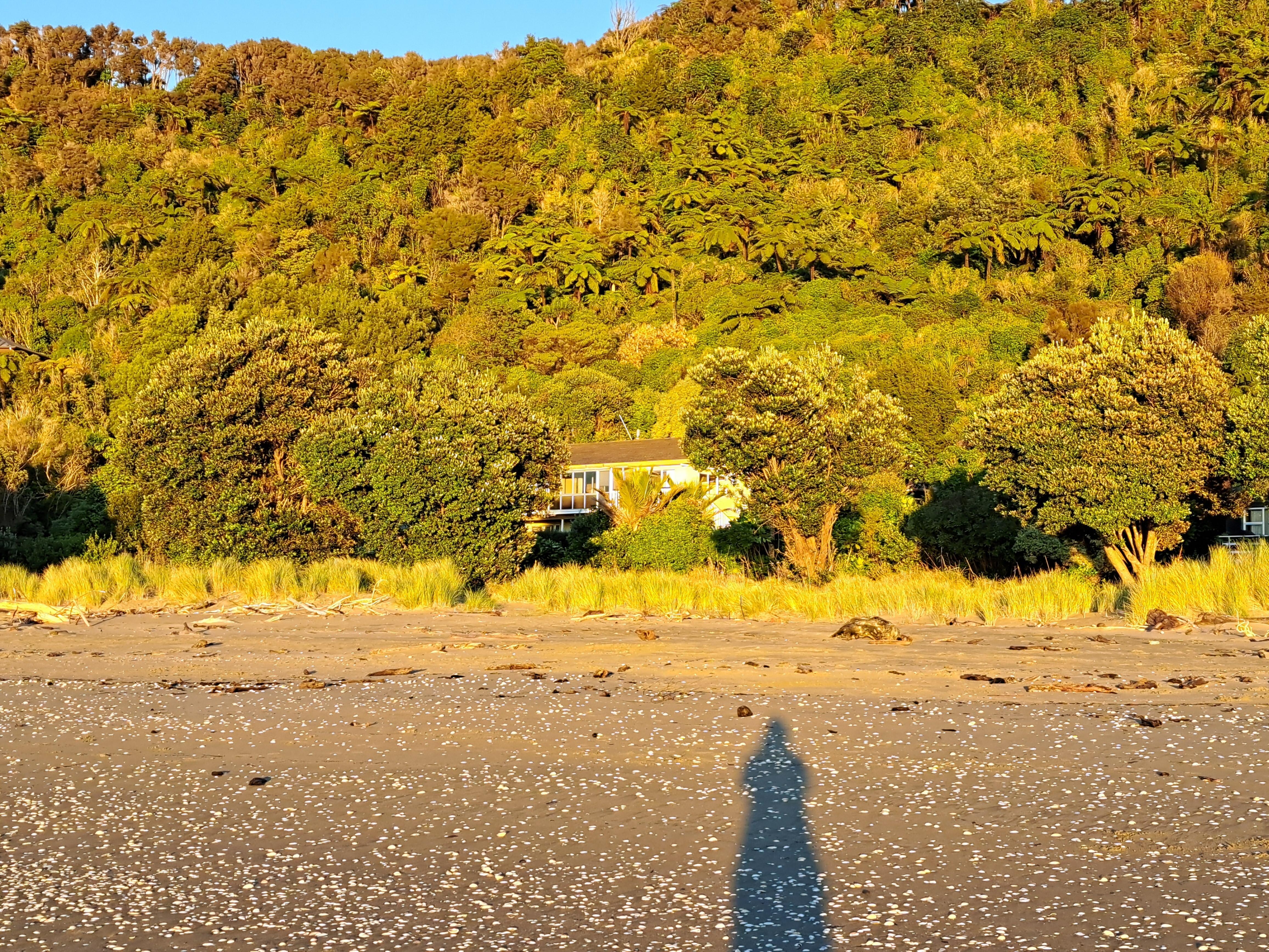 Looking at Maplesden from the beach