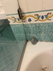 Black mold