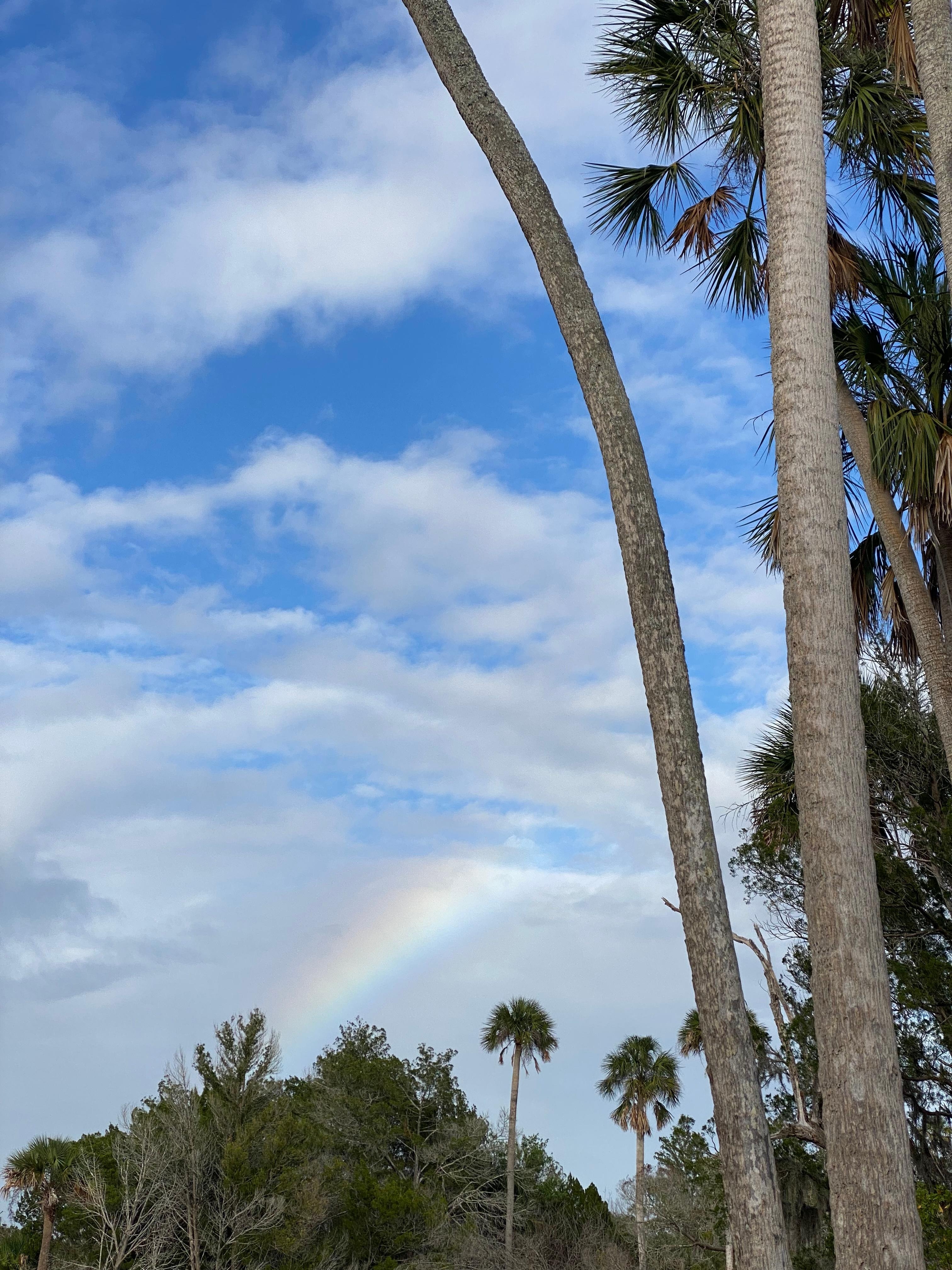 Rainbow sighting from the deck.
