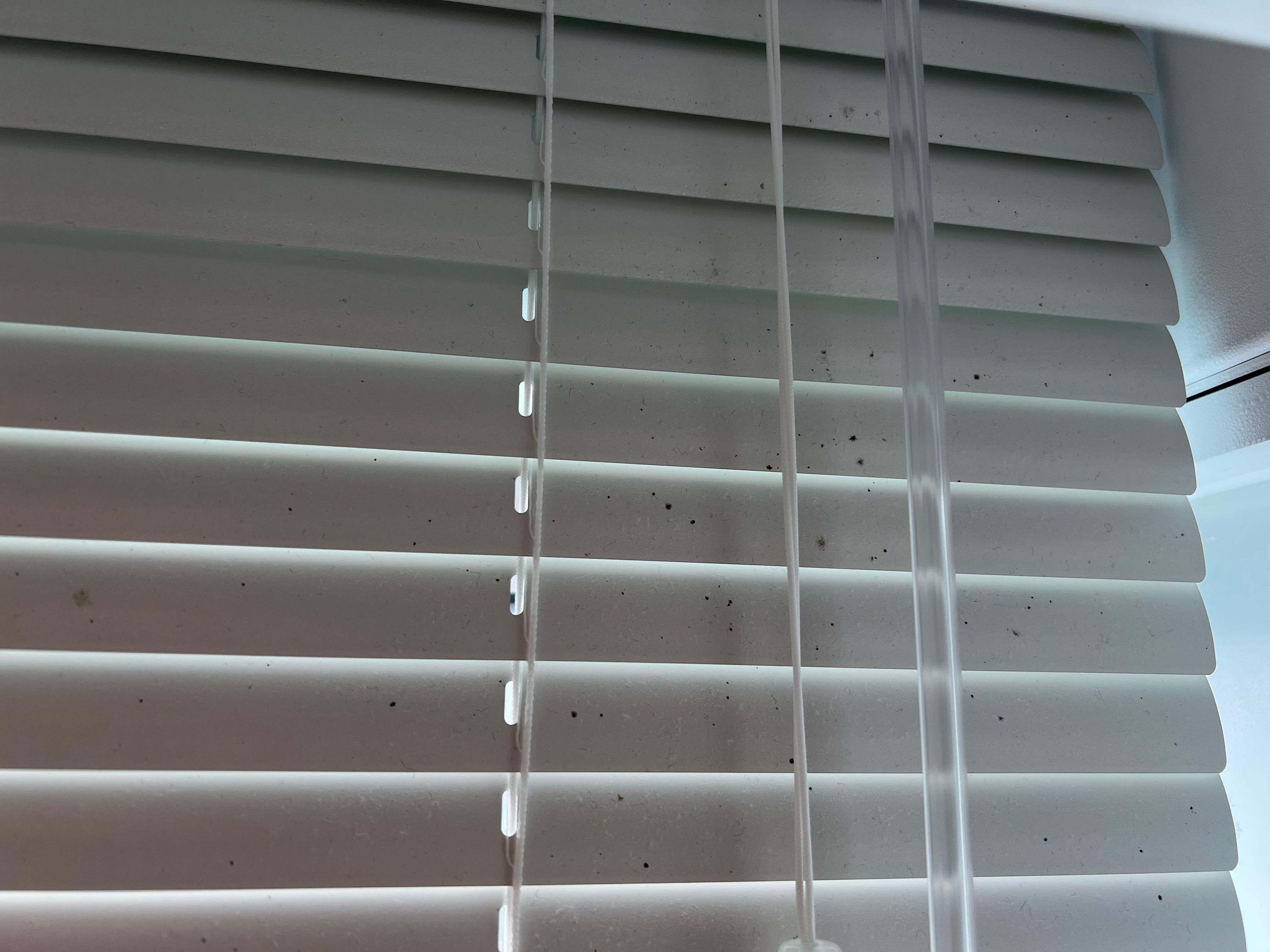 mold on the bathroom blinds