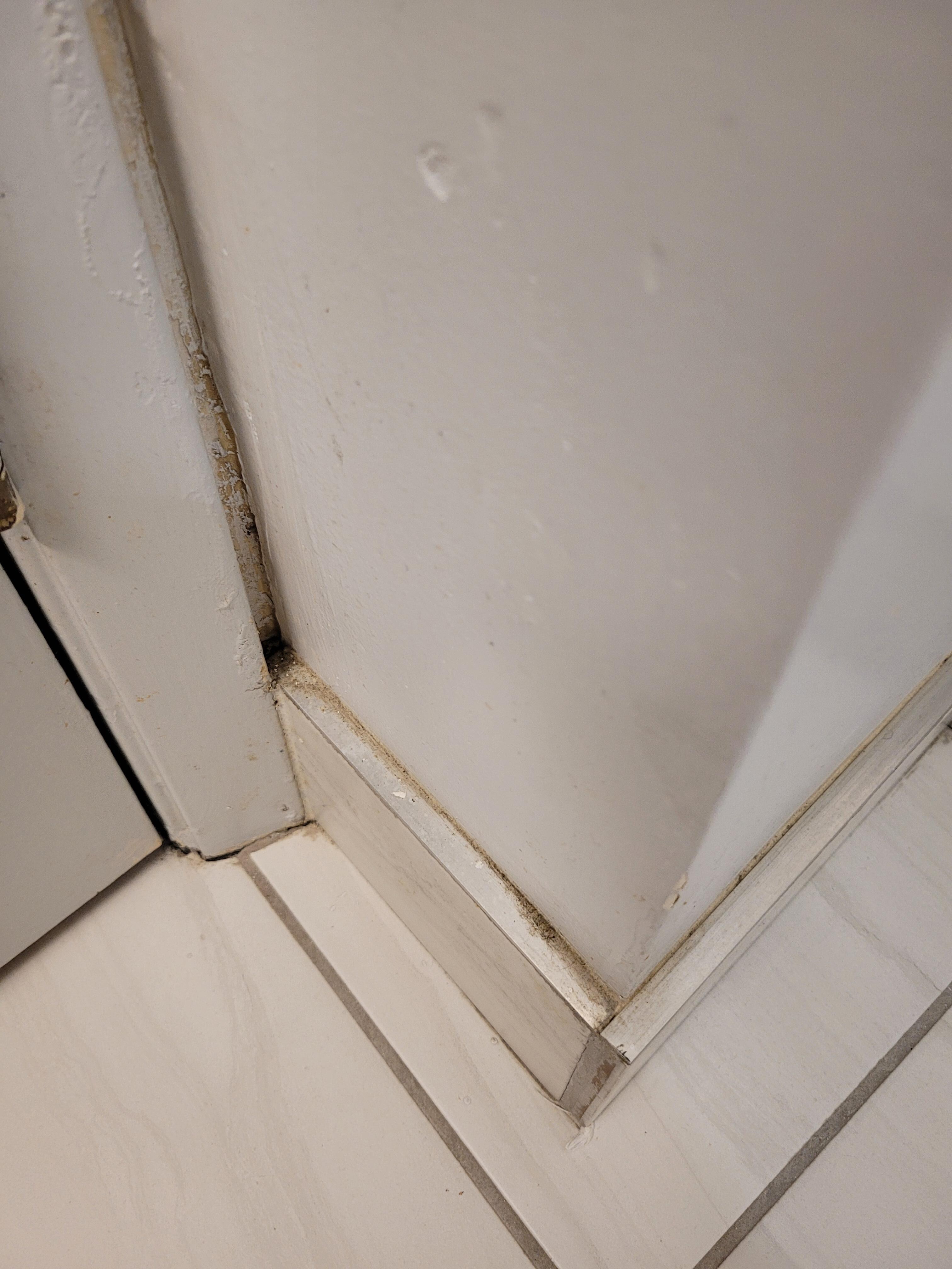 Bathroom baseboards eww