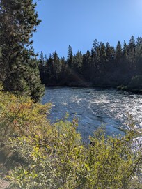 Great walking trails!