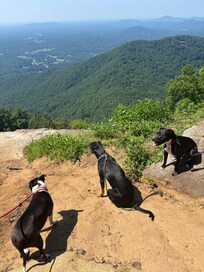 Yonah Mountain - 30 minutes (and a bit of a hike) away