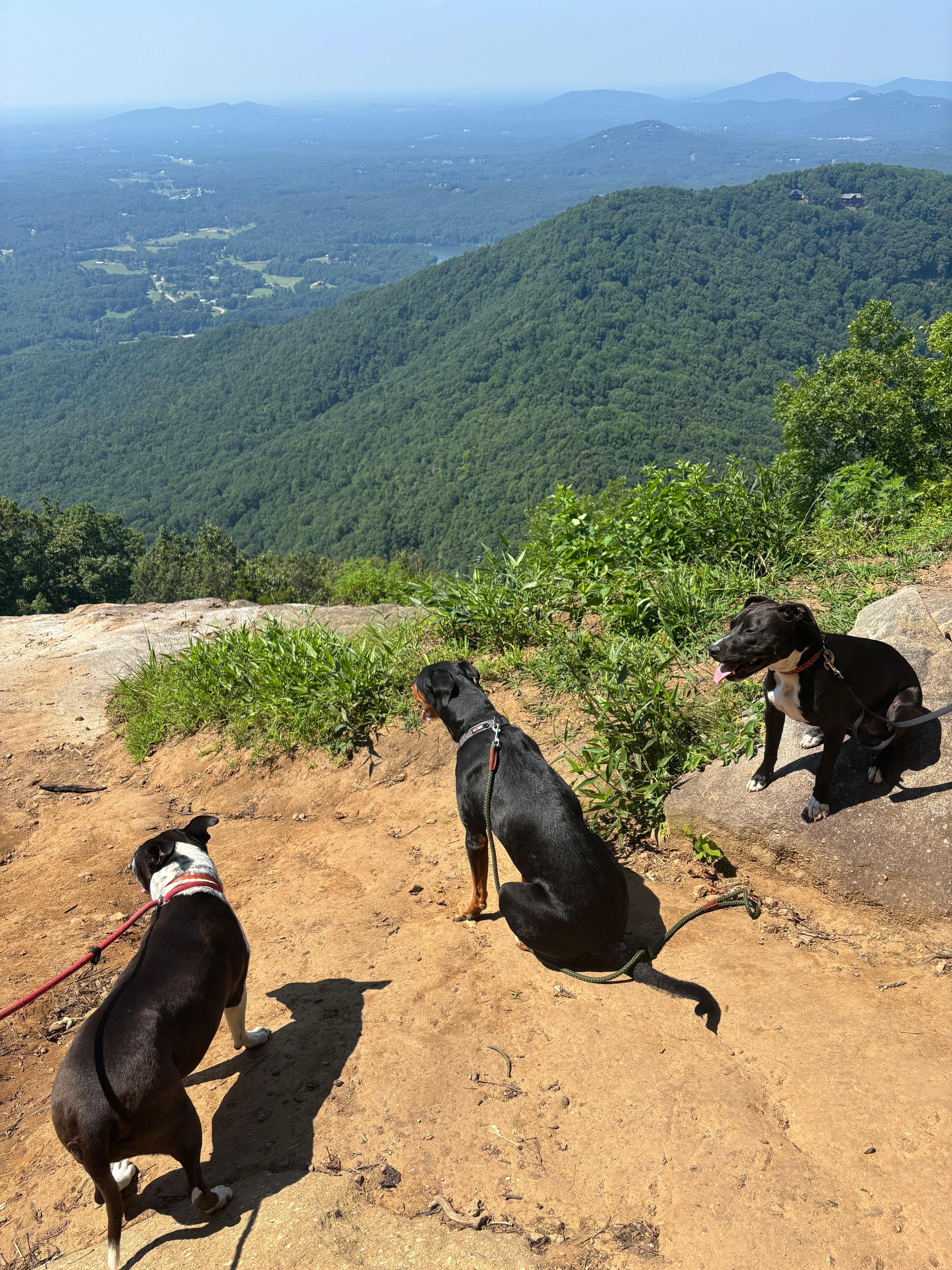 Yonah Mountain - 30 minutes (and a bit of a hike) away